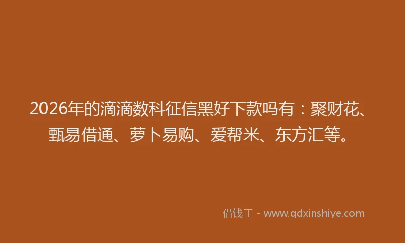 2026年的滴滴数科征信黑好下款吗有：聚财花、甄易借通、萝卜易购、爱帮米、东方汇等。