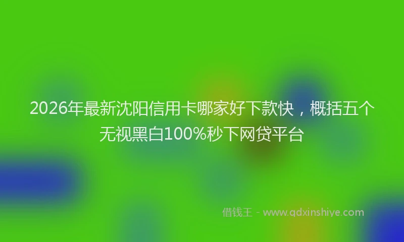 2026年最新沈阳信用卡哪家好下款快，概括五个无视黑白100%秒下网贷平台
