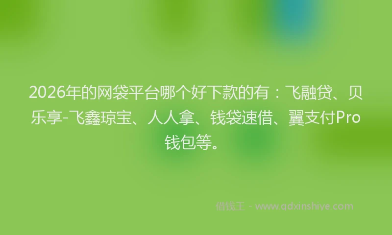 2026年的网袋平台哪个好下款的有：飞融贷、贝乐享-飞鑫琼宝、人人拿、钱袋速借、翼支付Pro钱包等。