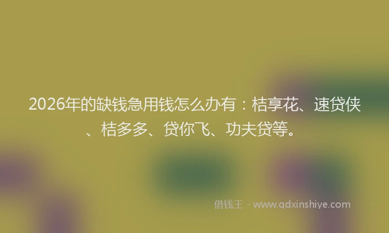 2026年的缺钱急用钱怎么办有：桔享花、速贷侠、桔多多、贷你飞、功夫贷等。