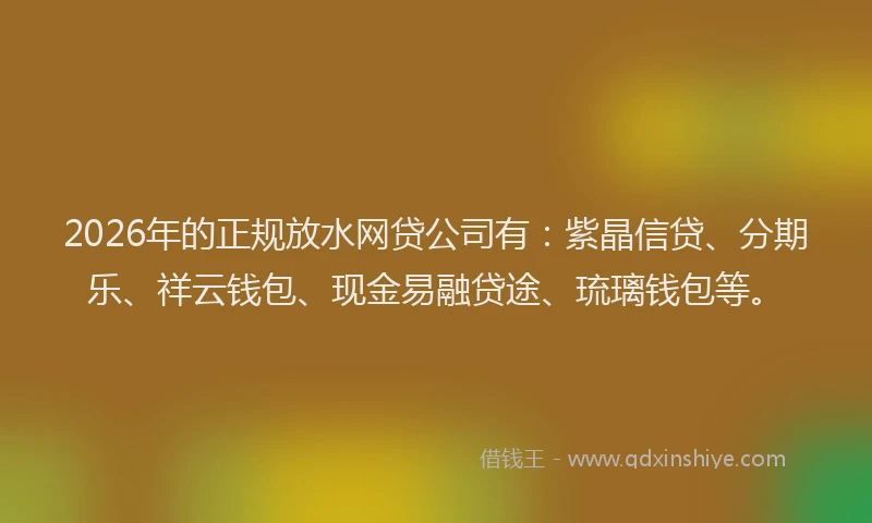 2026年的正规放水网贷公司有：紫晶信贷、分期乐、祥云钱包、现金易融贷途、琉璃钱包等。
