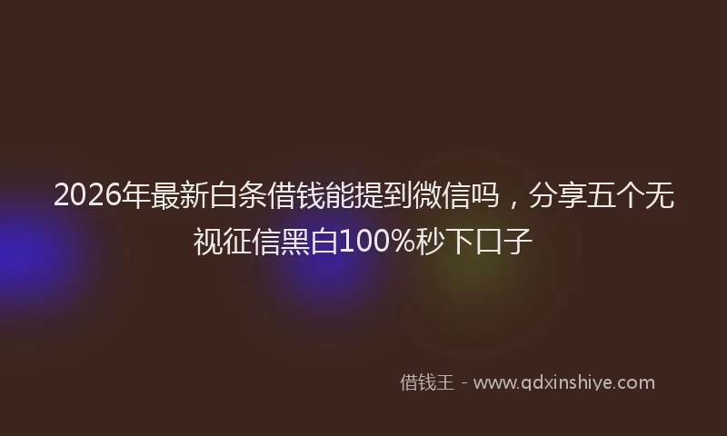 2026年最新白条借钱能提到微信吗，分享五个无视征信黑白100%秒下口子