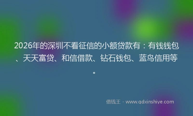 2026年的深圳不看征信的小额贷款有：有钱钱包、天天富贷、和信借款、钻石钱包、蓝鸟信用等。