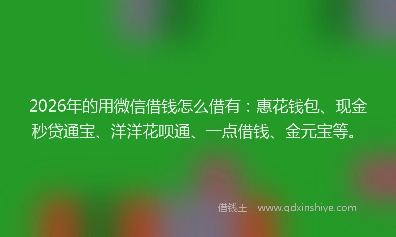 2026年的用微信借钱怎么借有：惠花钱包、现金秒贷通宝、洋洋花呗通、一点借钱、金元宝等。