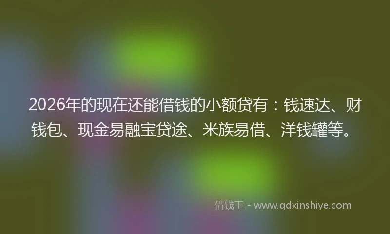 2026年的现在还能借钱的小额贷有：钱速达、财钱包、现金易融宝贷途、米族易借、洋钱罐等。