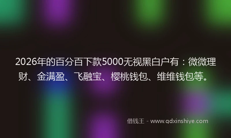 2026年的百分百下款5000无视黑白户有：微微理财、金满盈、飞融宝、樱桃钱包、维维钱包等。