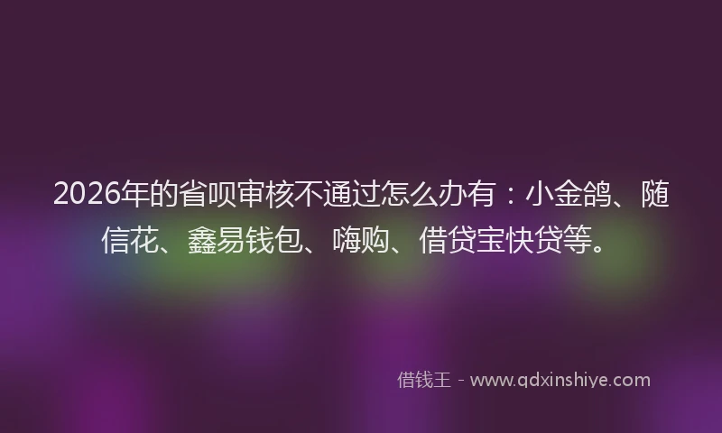 2026年的省呗审核不通过怎么办有：小金鸽、随信花、鑫易钱包、嗨购、借贷宝快贷等。