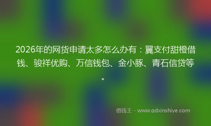 2026年的网货申请太多怎么办有：翼支付甜橙借钱、骏祥优购、万信钱包、金小豚、青石信贷等。