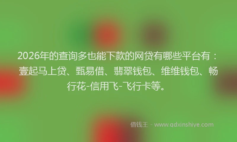 2026年的查询多也能下款的网贷有哪些平台有：壹起马上贷、甄易借、翡翠钱包、维维钱包、畅行花-信用飞-飞行卡等。