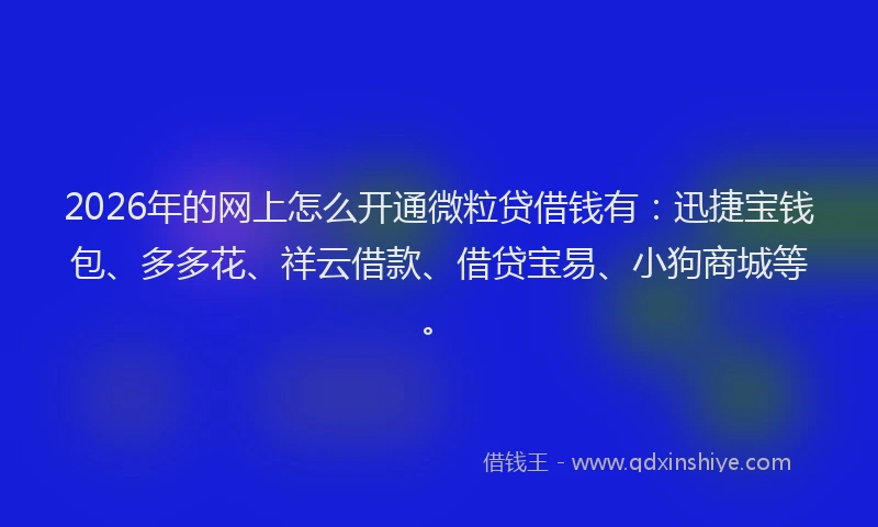 2026年的网上怎么开通微粒贷借钱有：迅捷宝钱包、多多花、祥云借款、借贷宝易、小狗商城等。