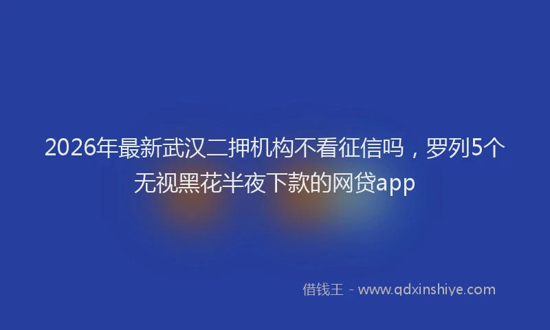 2026年最新武汉二押机构不看征信吗，罗列5个无视黑花半夜下款的网贷app