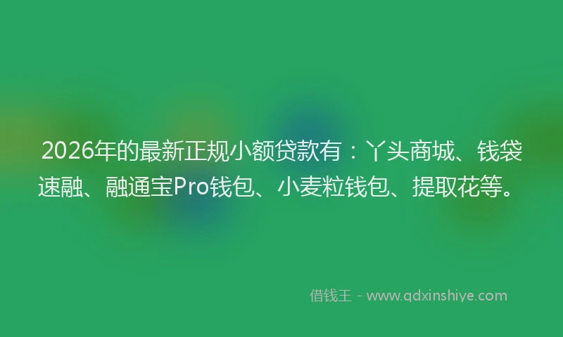 2026年的最新正规小额贷款有：丫头商城、钱袋速融、融通宝Pro钱包、小麦粒钱包、提取花等。