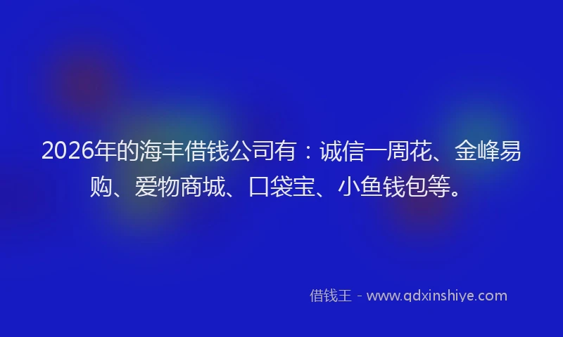 2026年的海丰借钱公司有：诚信一周花、金峰易购、爱物商城、口袋宝、小鱼钱包等。