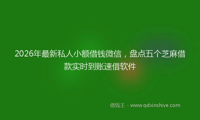 2026年最新私人小额借钱微信，盘点五个芝麻借款实时到账速借软件