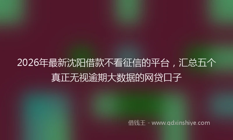 2026年最新沈阳借款不看征信的平台，汇总五个真正无视逾期大数据的网贷口子