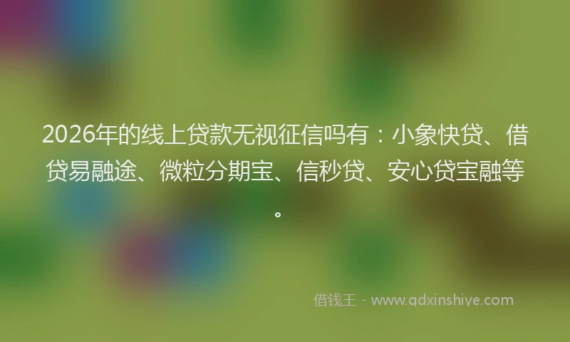 2026年的线上贷款无视征信吗有：小象快贷、借贷易融途、微粒分期宝、信秒贷、安心贷宝融等。