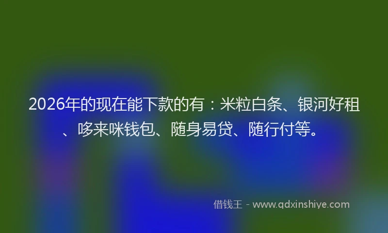 2026年的现在能下款的有：米粒白条、银河好租、哆来咪钱包、随身易贷、随行付等。