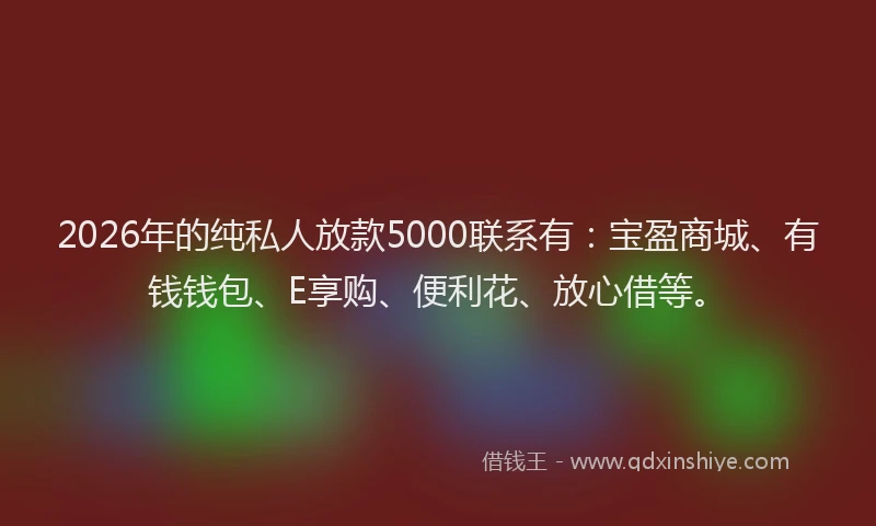 2026年的纯私人放款5000联系有：宝盈商城、有钱钱包、E享购、便利花、放心借等。