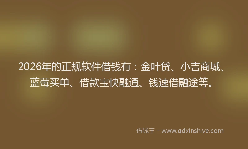 2026年的正规软件借钱有：金叶贷、小吉商城、蓝莓买单、借款宝快融通、钱速借融途等。