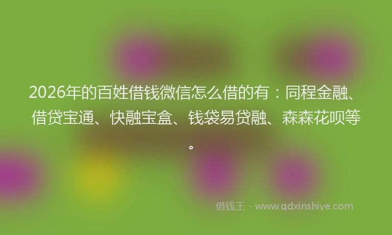 2026年的百姓借钱微信怎么借的有：同程金融、借贷宝通、快融宝盒、钱袋易贷融、森森花呗等。