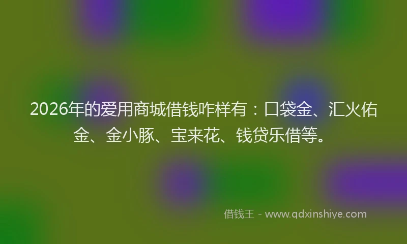 2026年的爱用商城借钱咋样有：口袋金、汇火佑金、金小豚、宝来花、钱贷乐借等。
