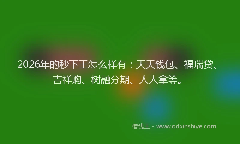 2026年的秒下王怎么样有：天天钱包、福瑞贷、吉祥购、树融分期、人人拿等。