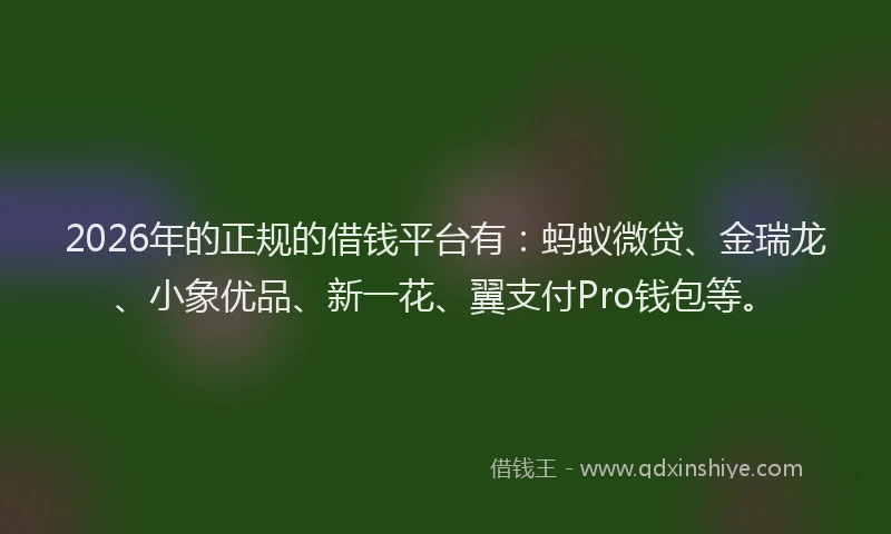 2026年的正规的借钱平台有：蚂蚁微贷、金瑞龙、小象优品、新一花、翼支付Pro钱包等。