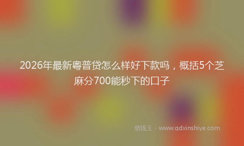 2026年最新粤普贷怎么样好下款吗，概括5个芝麻分700能秒下的口子