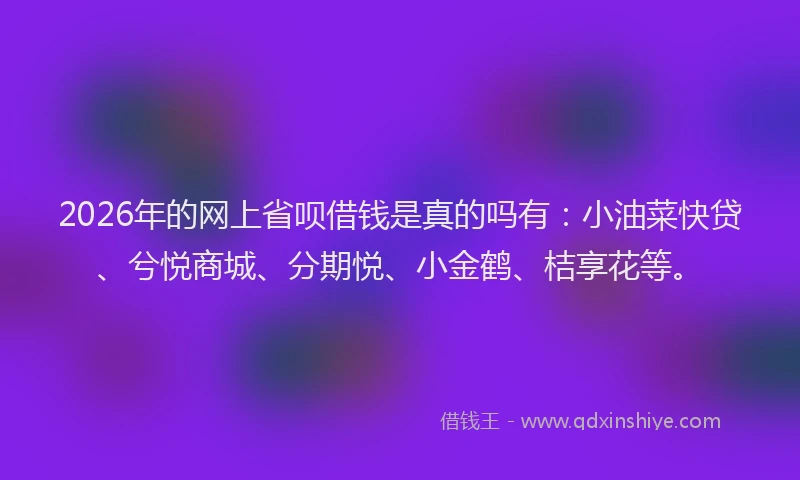 2026年的网上省呗借钱是真的吗有：小油菜快贷、兮悦商城、分期悦、小金鹤、桔享花等。