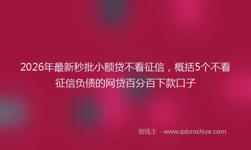 2026年最新秒批小额贷不看征信，概括5个不看征信负债的网贷百分百下款口子