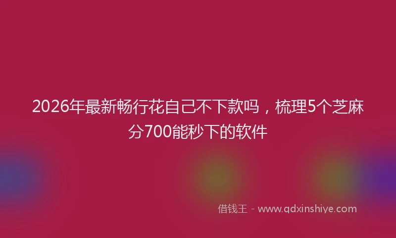 2026年最新畅行花自己不下款吗，梳理5个芝麻分700能秒下的软件