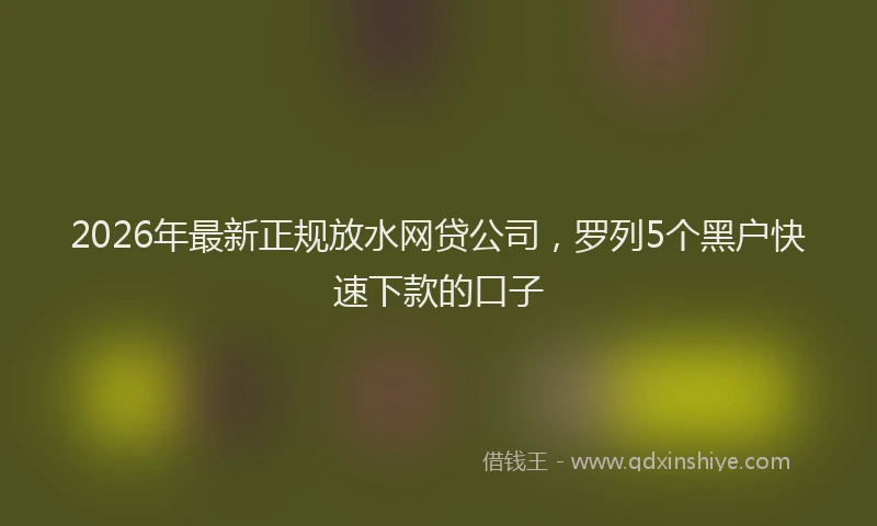 2026年最新正规放水网贷公司，罗列5个黑户快速下款的口子