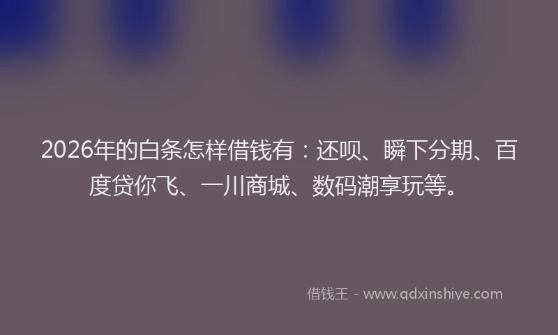 2026年的白条怎样借钱有：还呗、瞬下分期、百度贷你飞、一川商城、数码潮享玩等。