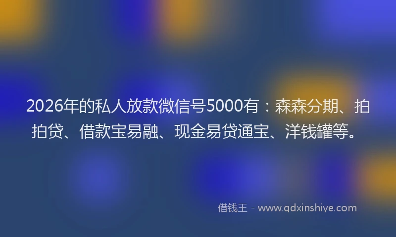 2026年的私人放款微信号5000有：森森分期、拍拍贷、借款宝易融、现金易贷通宝、洋钱罐等。