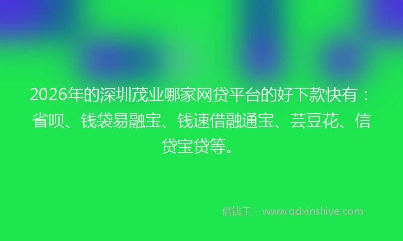 2026年的深圳茂业哪家网贷平台的好下款快有：省呗、钱袋易融宝、钱速借融通宝、芸豆花、信贷宝贷等。