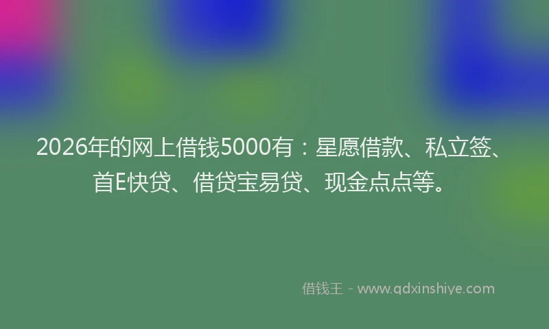 2026年的网上借钱5000有：星愿借款、私立签、首E快贷、借贷宝易贷、现金点点等。