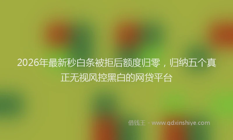 2026年最新秒白条被拒后额度归零，归纳五个真正无视风控黑白的网贷平台