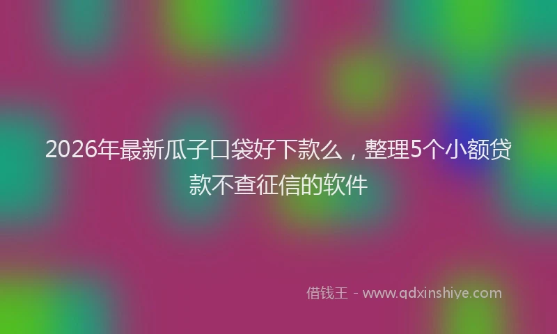 2026年最新瓜子口袋好下款么，整理5个小额贷款不查征信的软件