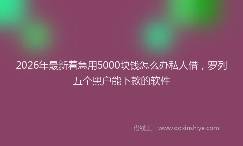 2026年最新着急用5000块钱怎么办私人借，罗列五个黑户能下款的软件