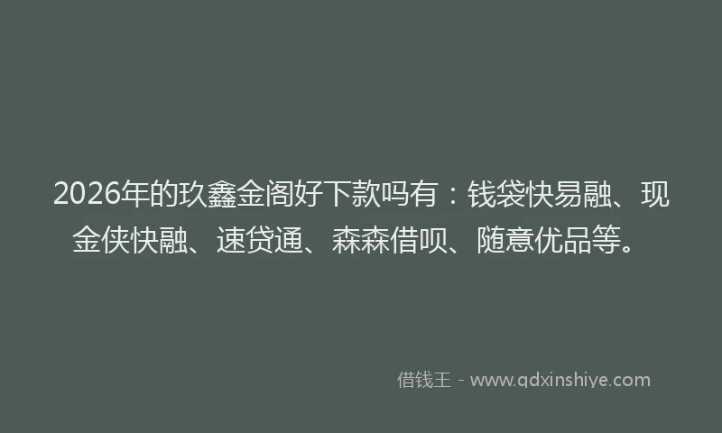 2026年的玖鑫金阁好下款吗有：钱袋快易融、现金侠快融、速贷通、森森借呗、随意优品等。