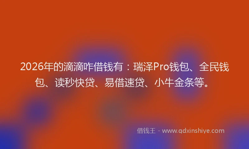 2026年的滴滴咋借钱有：瑞泽Pro钱包、全民钱包、读秒快贷、易借速贷、小牛金条等。