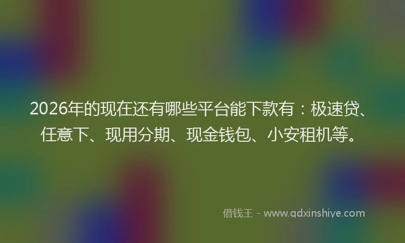 2026年的现在还有哪些平台能下款有：极速贷、任意下、现用分期、现金钱包、小安租机等。