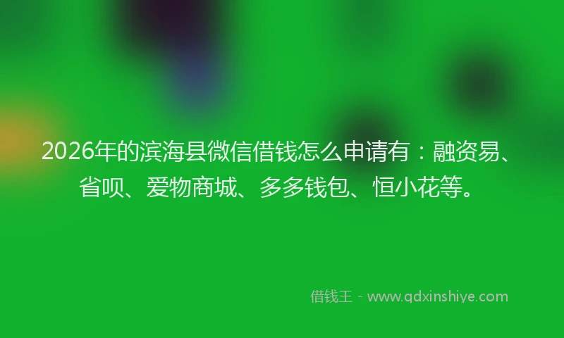 2026年的滨海县微信借钱怎么申请有：融资易、省呗、爱物商城、多多钱包、恒小花等。