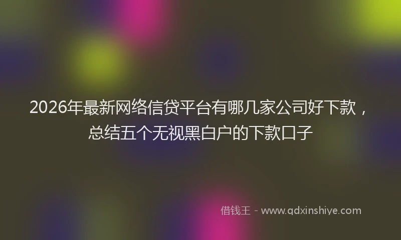 2026年最新网络信贷平台有哪几家公司好下款，总结五个无视黑白户的下款口子