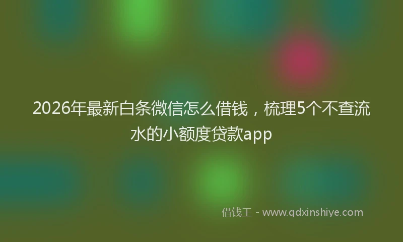 2026年最新白条微信怎么借钱，梳理5个不查流水的小额度贷款app