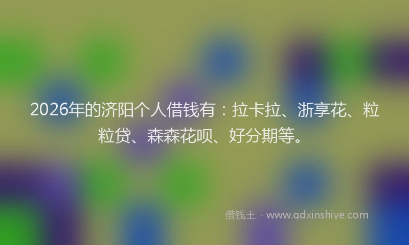 2026年的济阳个人借钱有：拉卡拉、浙享花、粒粒贷、森森花呗、好分期等。