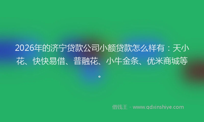 2026年的济宁贷款公司小额贷款怎么样有：天小花、快快易借、普融花、小牛金条、优米商城等。