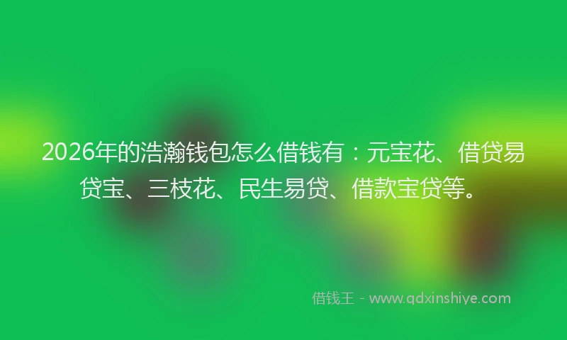 2026年的浩瀚钱包怎么借钱有：元宝花、借贷易贷宝、三枝花、民生易贷、借款宝贷等。