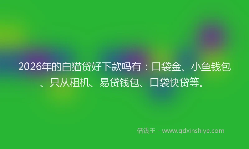 2026年的白猫贷好下款吗有：口袋金、小鱼钱包、只从租机、易贷钱包、口袋快贷等。