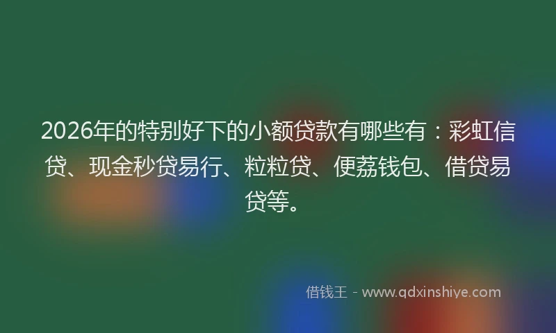 2026年的特别好下的小额贷款有哪些有：彩虹信贷、现金秒贷易行、粒粒贷、便荔钱包、借贷易贷等。